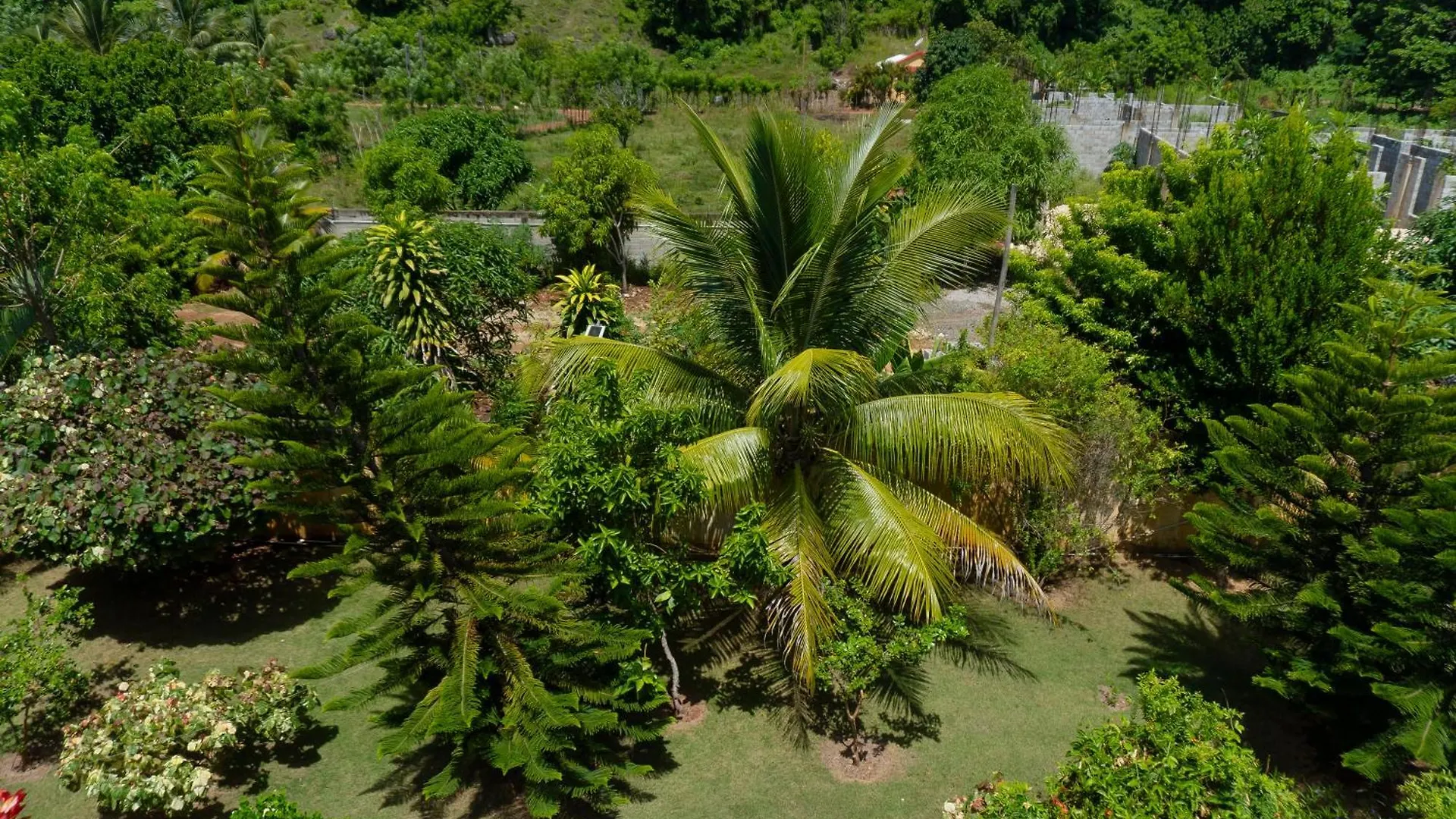 Villa Ramon Reynoso, Cabrera El Higo de las Tres Piernas