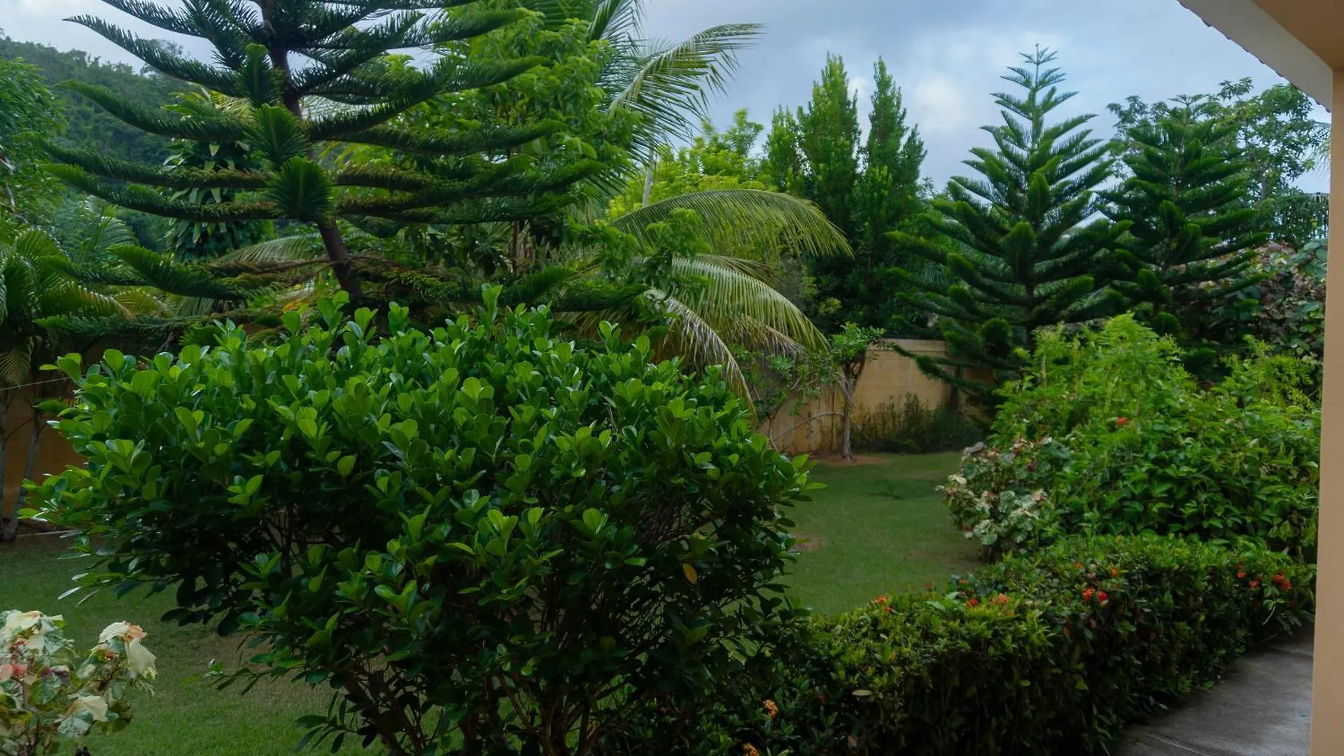 Villa Ramon Reynoso, Cabrera El Higo de las Tres Piernas