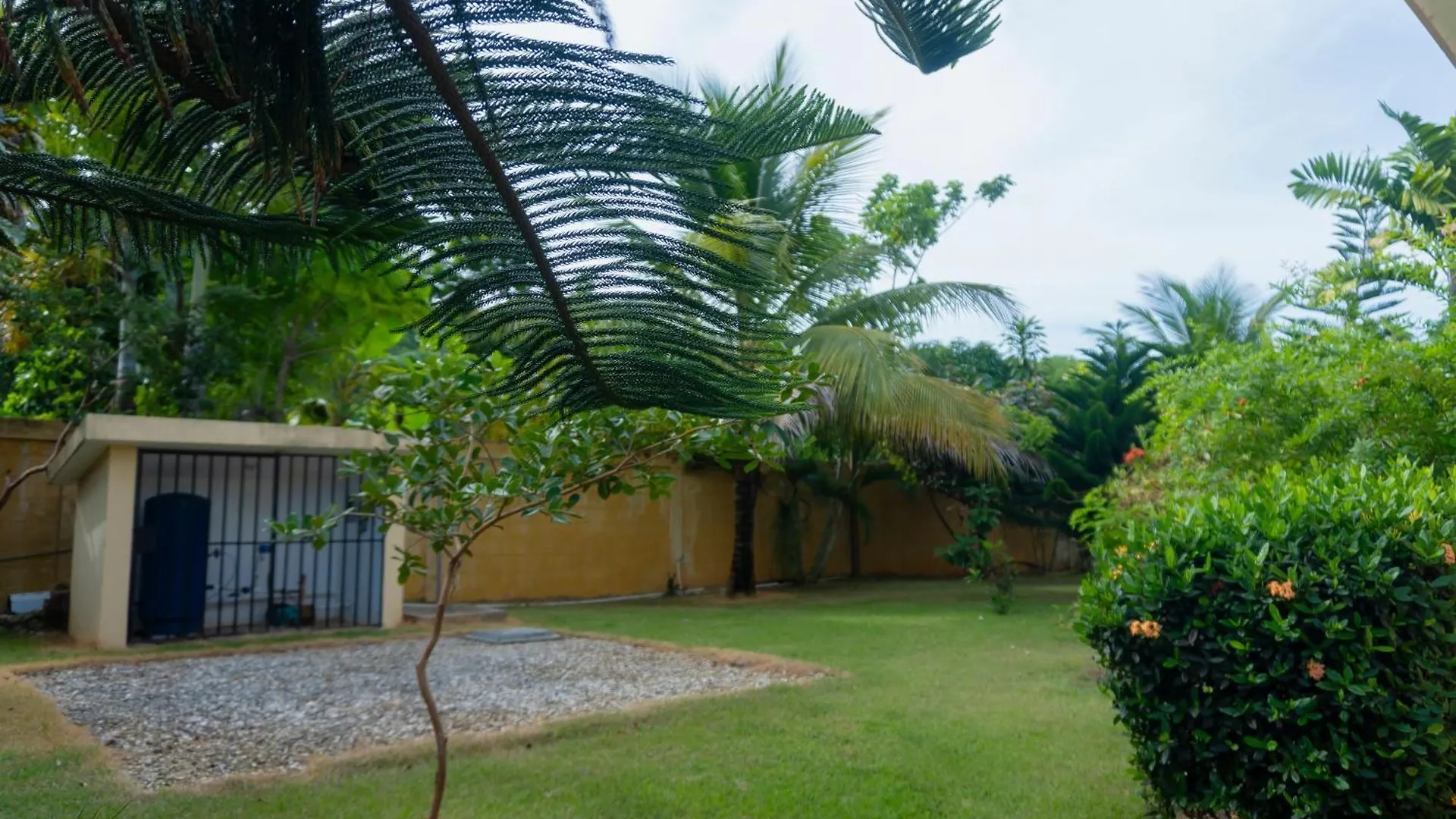 Villa Ramon Reynoso, Cabrera El Higo de las Tres Piernas